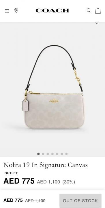 Coaxh Nolita 19 Shoulder Bag with Pearl Charm & OG Box