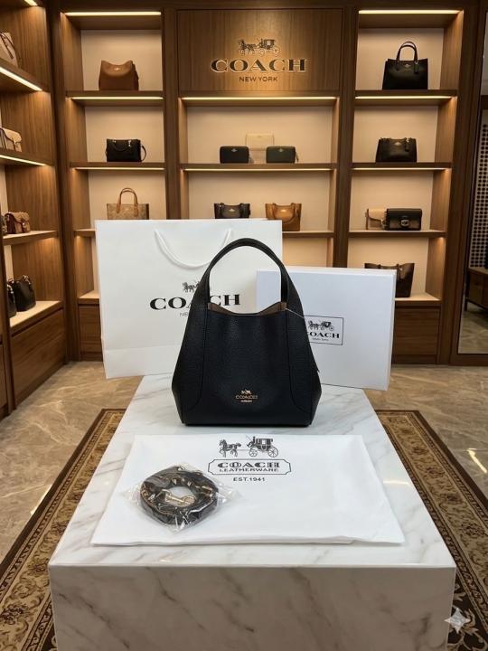 Coaxh Hadley 21 Hobo Bag with OG Box & Carry Bag
