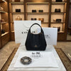 Coaxh Hadley 21 Hobo Bag with OG Box & Carry Bag