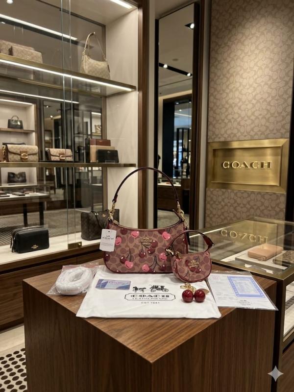 Coaxh Teri Premium Gift Set Combo with Mini Bag Cherry Charm & OG Box